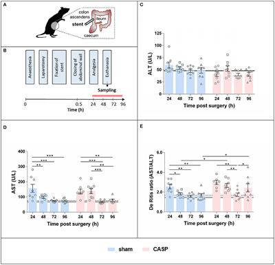 Tissue Damage, Not Infection, Triggers Hepatic Unfolded Protein Response in an Experimental Rat Peritonitis Model